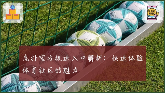 虎扑官方极速入口解析：快速体验体育社区的魅力